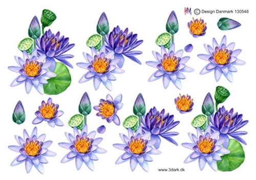  3D Blå lotusblomst
